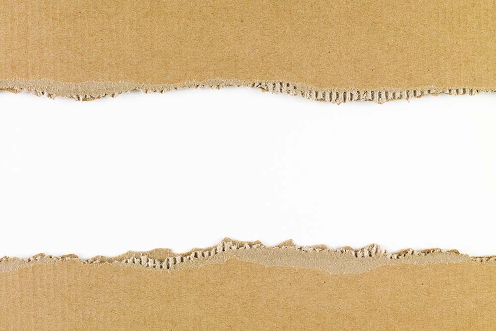 A cardboard torn into two pieces