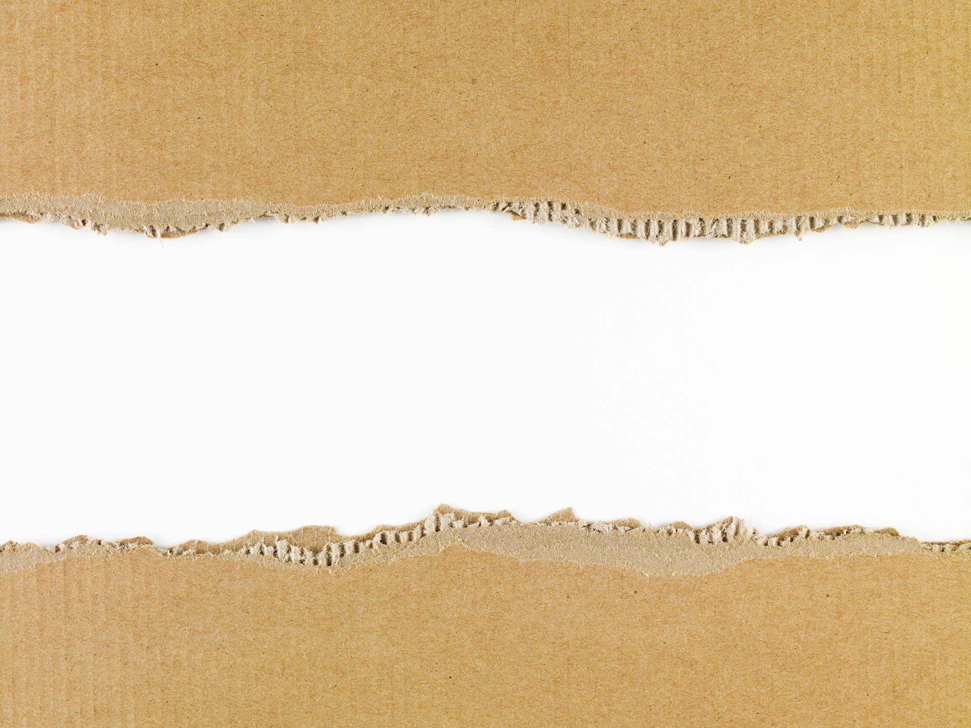 A cardboard torn into two pieces.