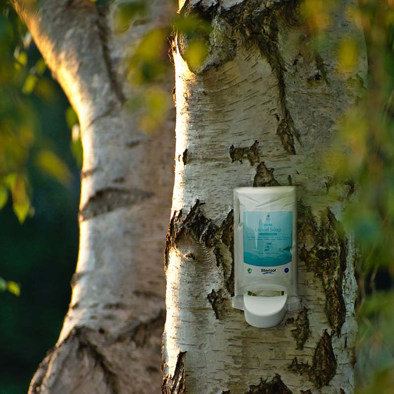 A Steristol dispenser mounted on a birch tree